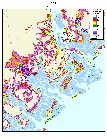 Savannah