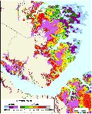 Goose Neck Island, Oriental, Pamlico County