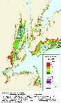 New York and vicinity