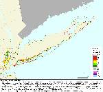 New York, 50 cm, with nontidal wetlands