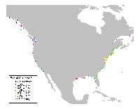 Sea level trend North America